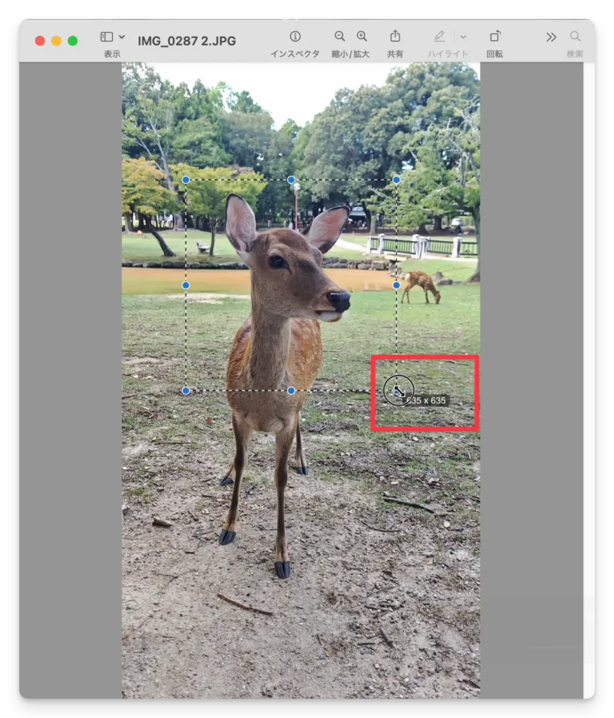 Macで画像を正方形にトリミングする