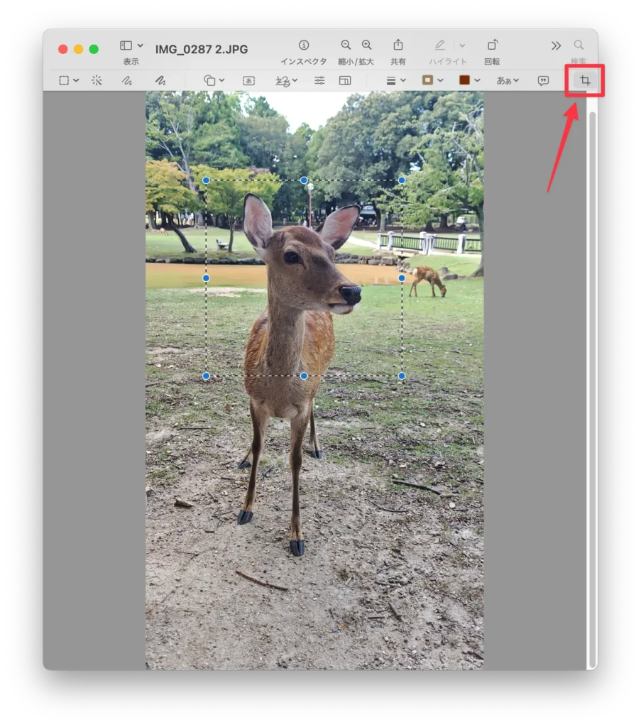 Macで画像を正方形にトリミングする