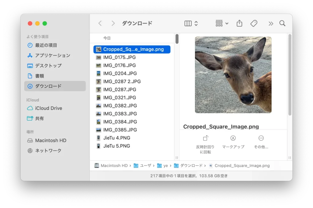 正方形画像をプレビュー