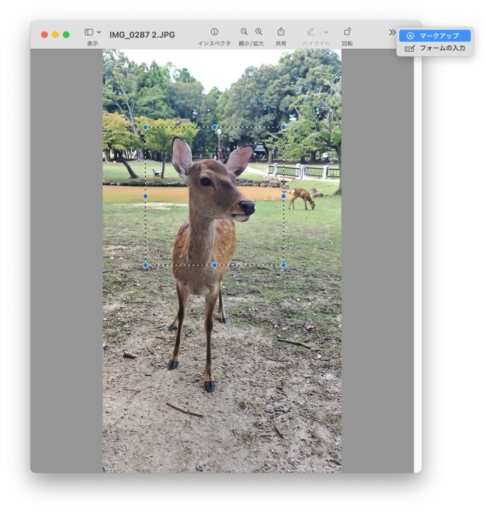 マークアップツールバーを表示