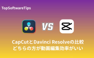 CapCutとDavinci Resolveの比較