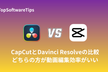 CapCutとDavinci Resolveの比較