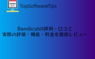 Bandicutの評判・口コミ